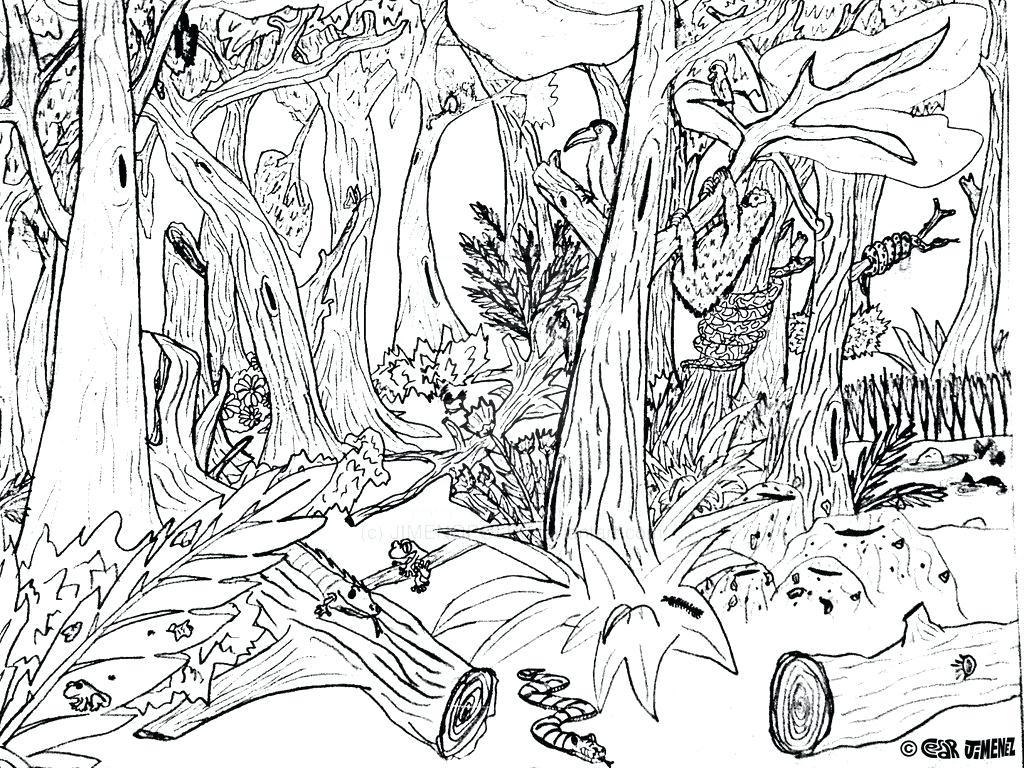 Jungle Plants Coloring Pages at GetColorings.com | Free printable