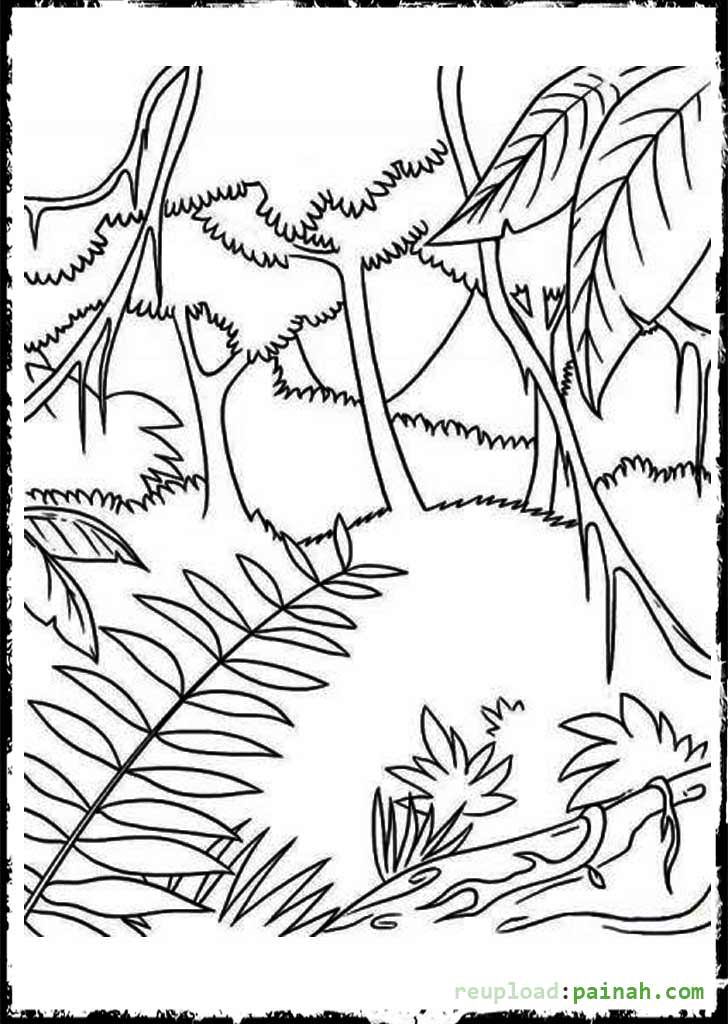 Jungle Scene Coloring Pages at Free printable