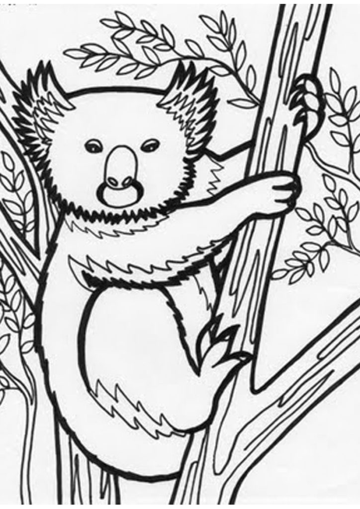 Jungle Tree Coloring Page at GetColorings.com | Free printable