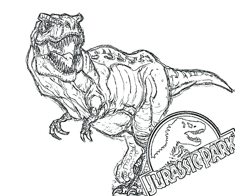 800x667 Indominus Rex Coloring Page Baby Jurassic World