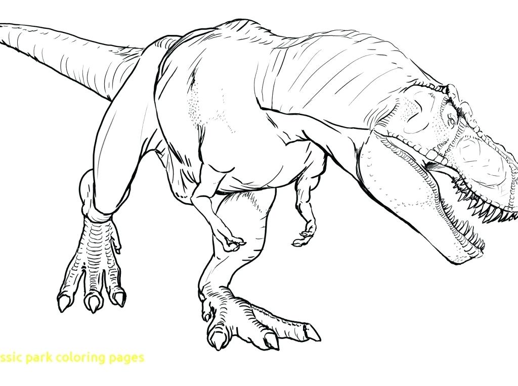 1024x764 Jurassic Park Coloring Pages And Dinosaur Printable