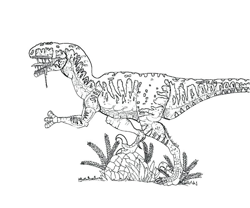 Velociraptor Coloring Pages Her Hos Undergrunnen
