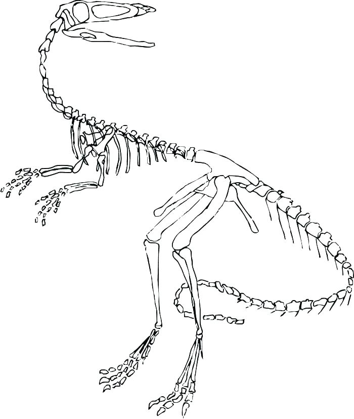 Jurassic World Raptor Coloring Pages at GetColorings.com | Free