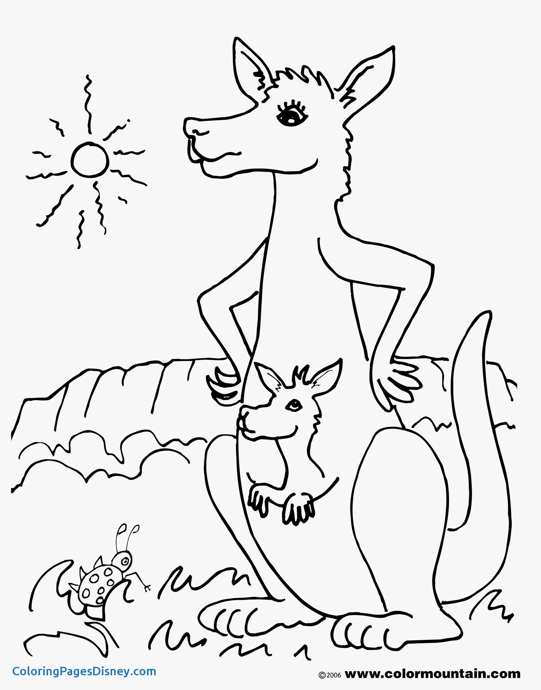 Kangaroo Coloring Page At GetColorings