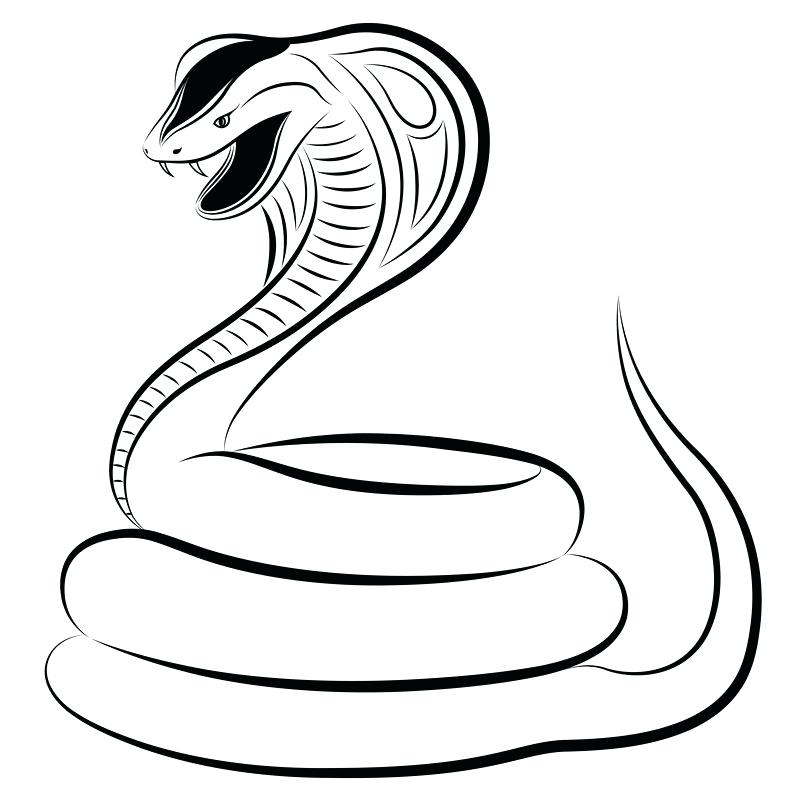 King Cobra Snake Coloring Pages - coloringpage.one