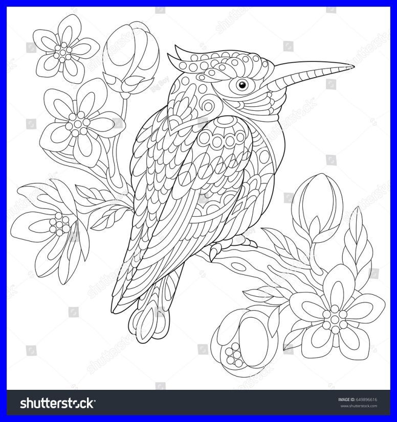 Kingfisher Coloring Page at GetColorings.com | Free printable colorings