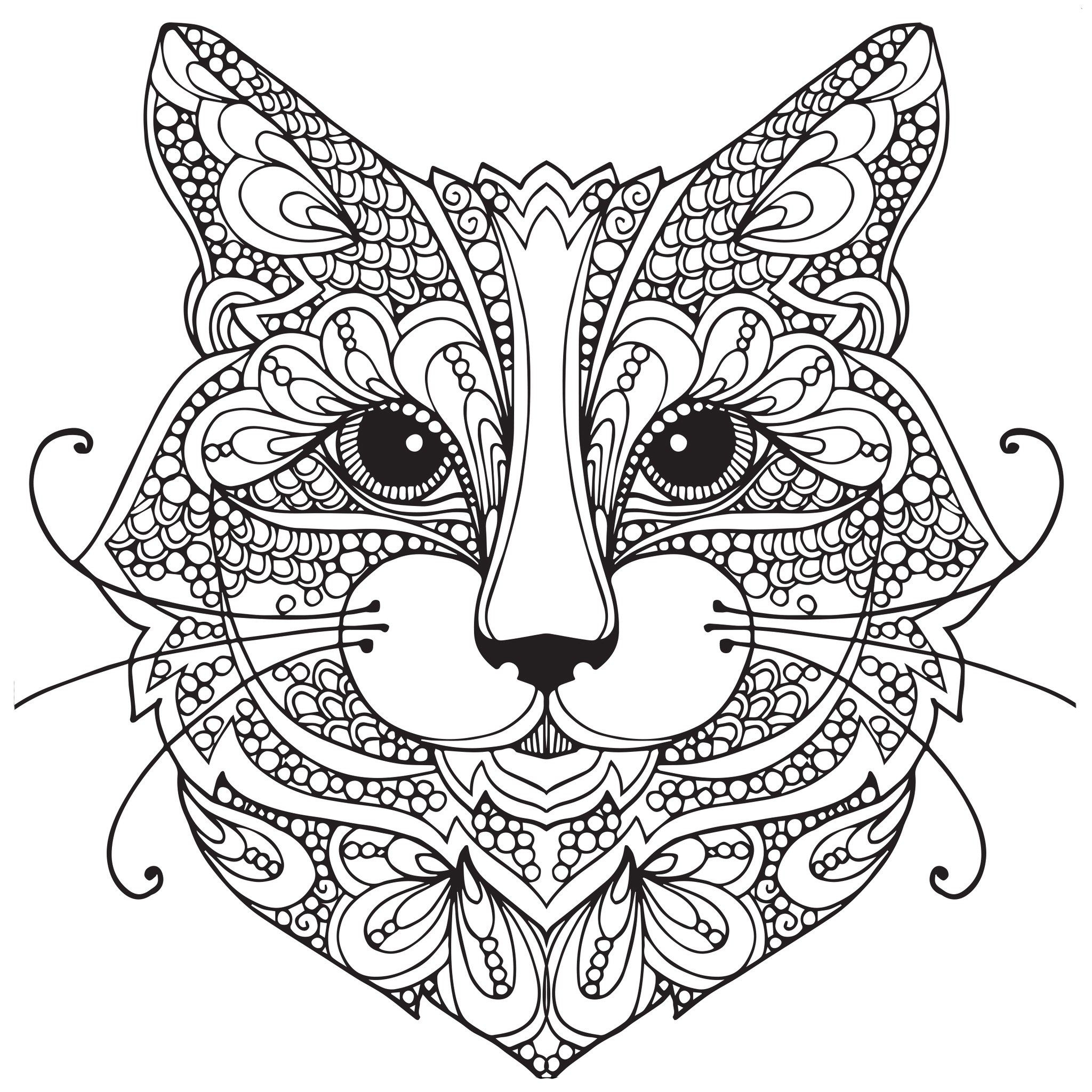 Kitten Coloring Pages For Adults at GetColorings.com | Free printable