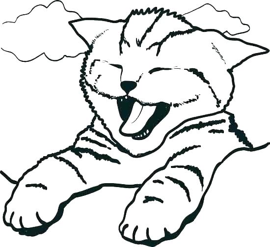550x503 Kitten Coloring Pages For Kids Printable Pictures Of