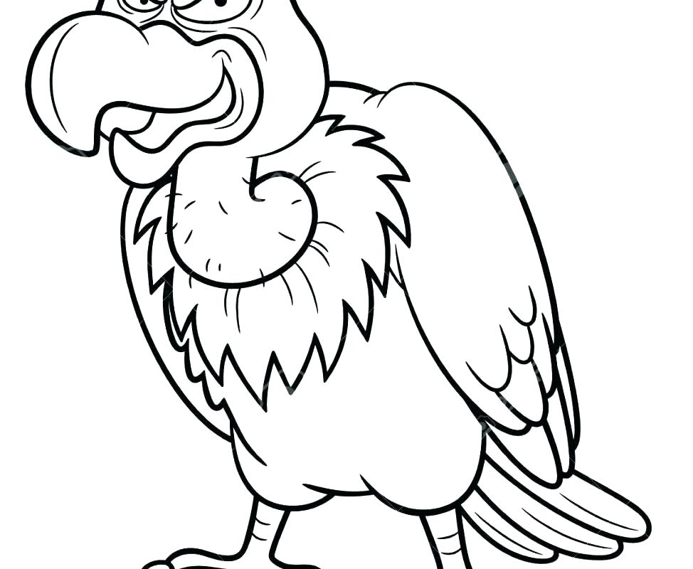 Kiwi Coloring Page at GetColorings.com | Free printable colorings pages
