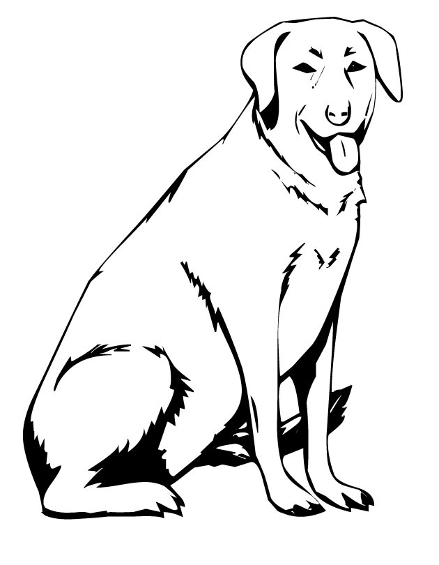 Lab Coloring Pages at GetColorings.com | Free printable colorings pages