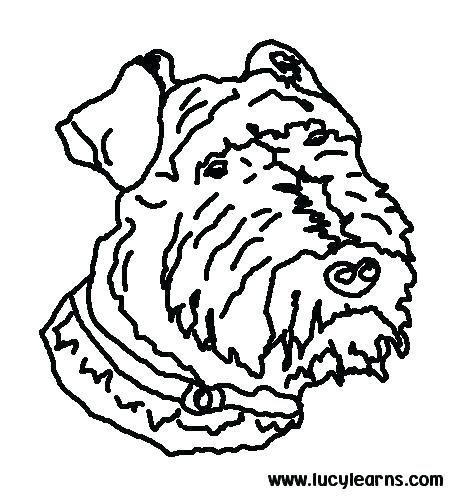 Lab Dog Coloring Pages at GetColorings.com | Free printable colorings