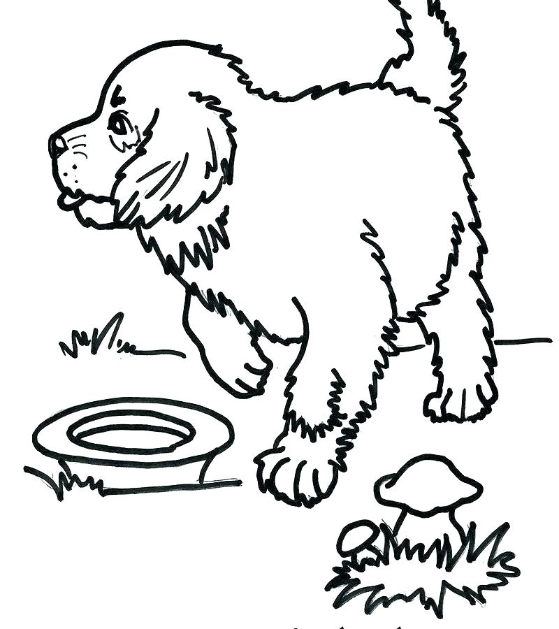 Lab Dog Coloring Pages at GetColorings.com | Free printable colorings