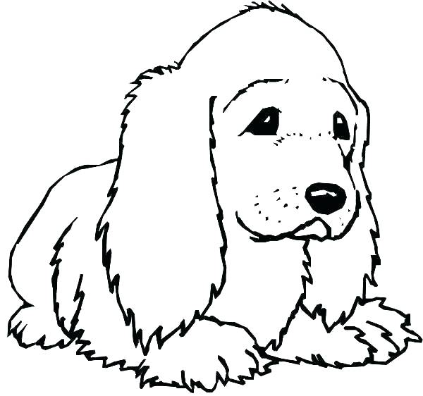 Lab Dogs Coloring Pages at GetColorings.com | Free printable colorings