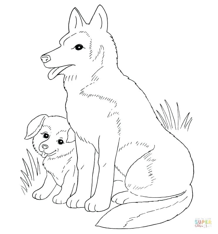 Lab Puppy Coloring Pages at GetColorings.com | Free printable colorings