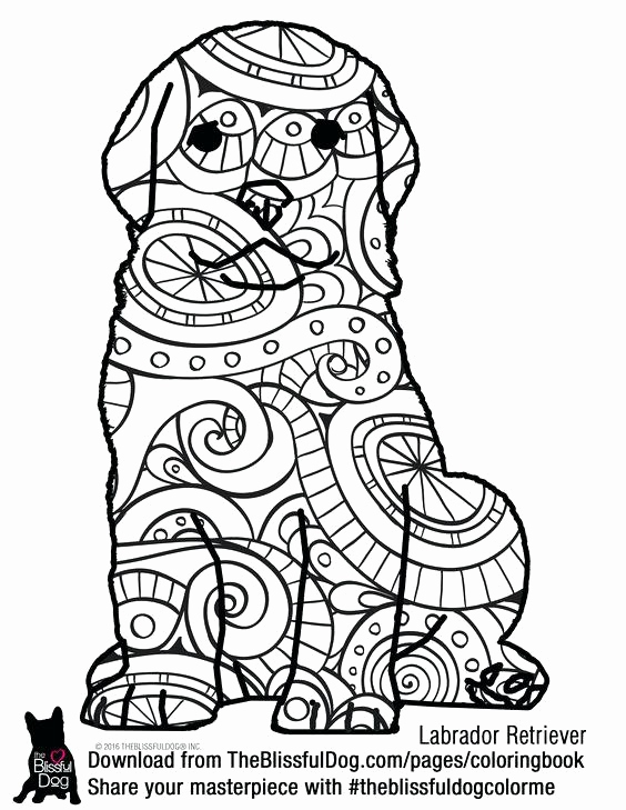 Labrador Dog Coloring Pages at GetColorings.com | Free printable