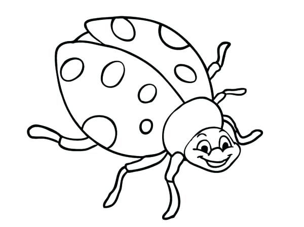 Ladybird Colouring Pages at GetColorings.com | Free printable colorings
