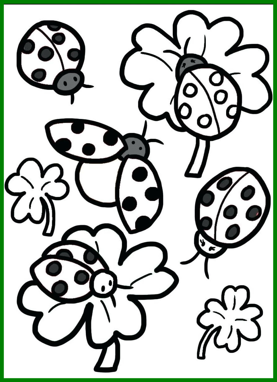 Ladybug Coloring Pages For Preschoolers at Free