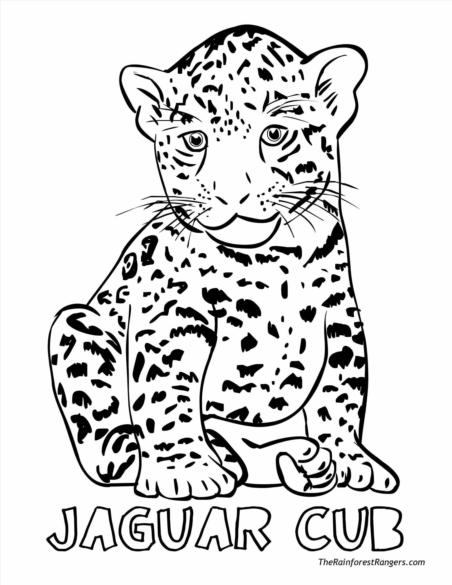 Land Animals Coloring Pages at Free printable