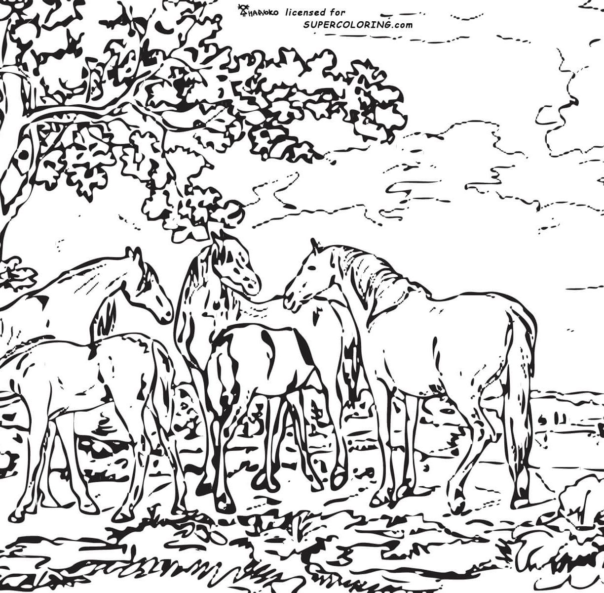 Landscape Coloring Pages For Adults at GetColorings.com | Free