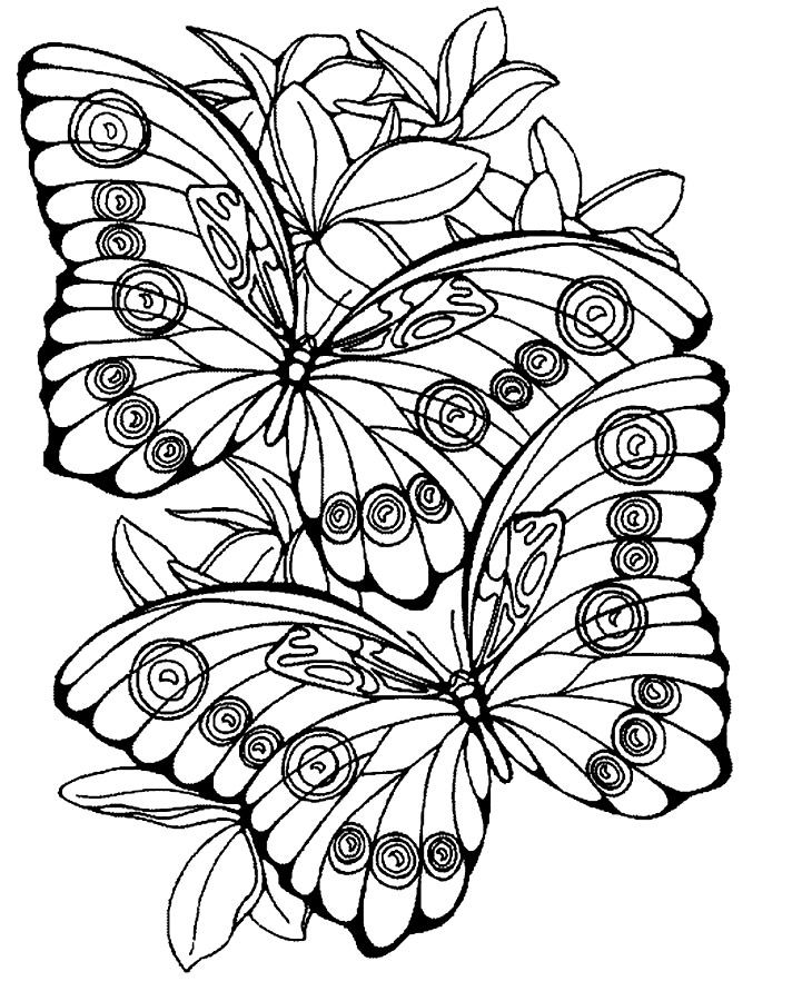 Large Print Coloring Pages At Getcolorings.com | Free Printable