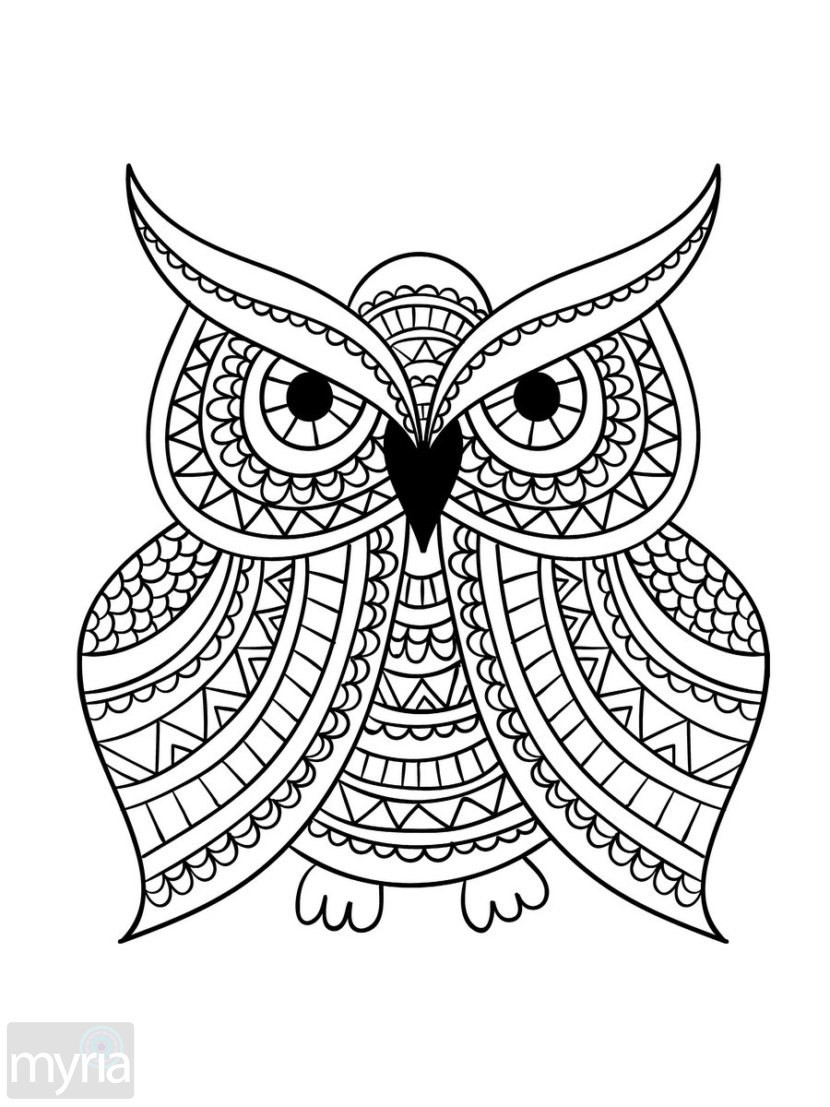 Large Print Coloring Pages For Adults At Getcolorings.com | Free
