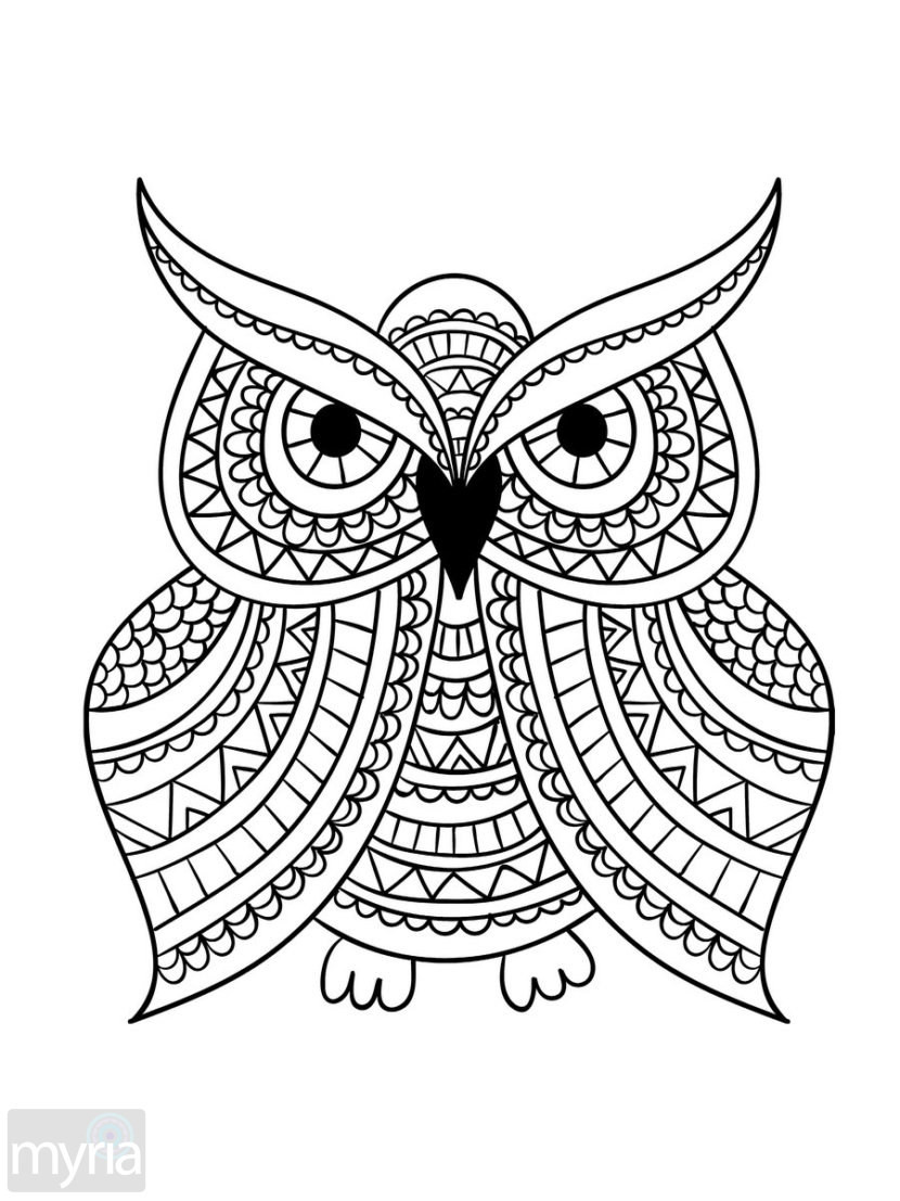 Large Print Coloring Pages For Adults at GetColorings.com | Free