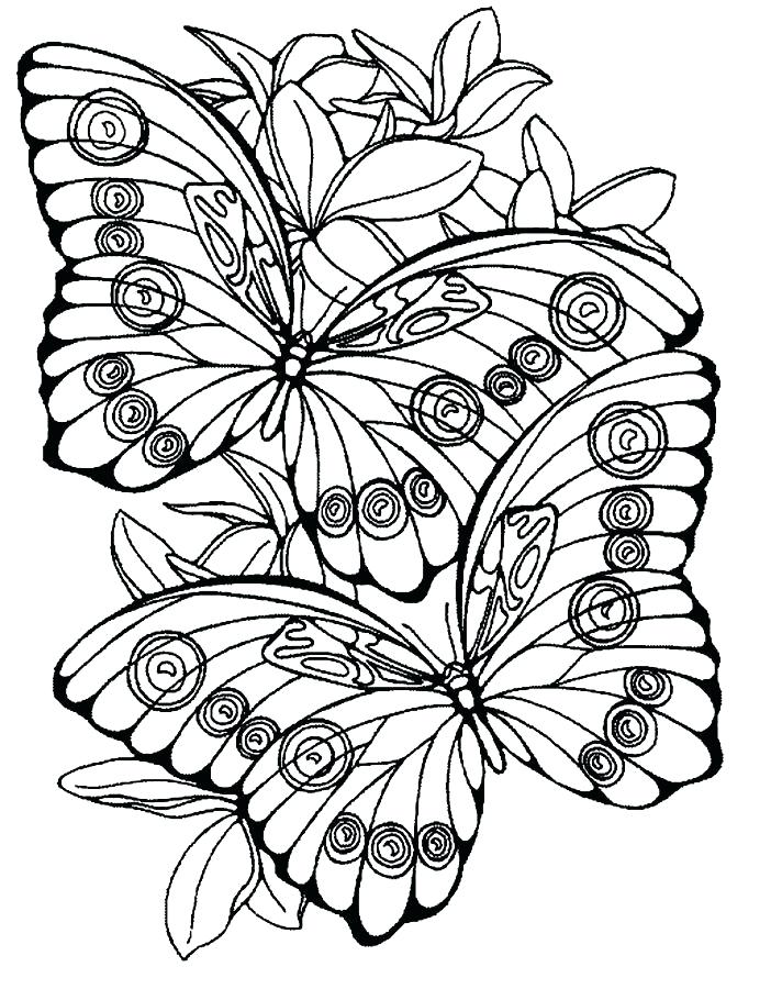 Large Print Coloring Pages For Adults at GetColorings.com | Free