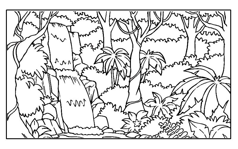rainforest coloring page layers