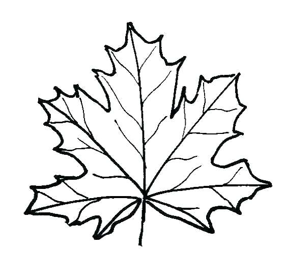 leaf-coloring-pages-for-preschool-at-getcolorings-free-printable