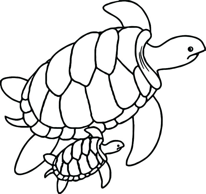 Leatherback Sea Turtle Coloring Page at GetColorings.com | Free