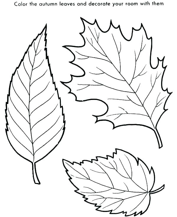 Leaves Coloring Pages To Print At GetColorings Free Printable 