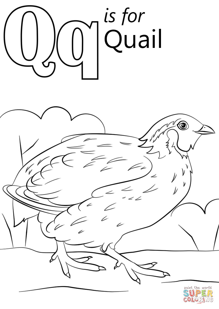 Letter Q Coloring Pages at Free