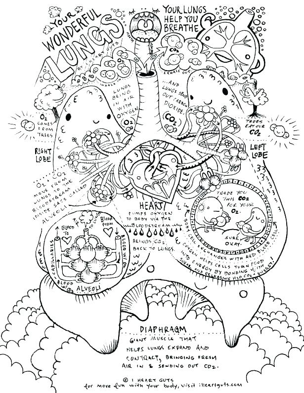 life-science-coloring-pages-at-getcolorings-free-printable