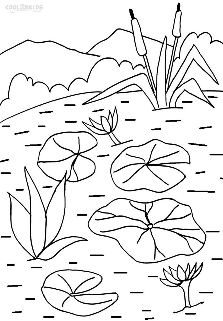 Lily Pad Coloring Page at GetColorings.com | Free printable colorings