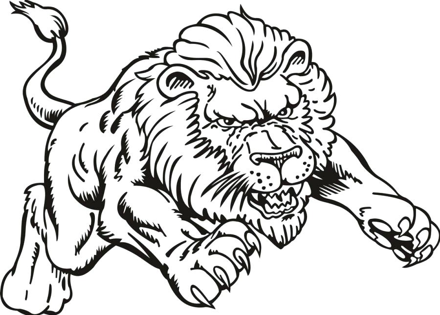 Lion And Tiger Coloring Pages at GetColoringscom Free