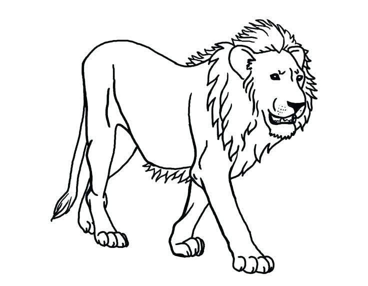 Lion Cub Coloring Pages at GetColorings.com | Free printable colorings