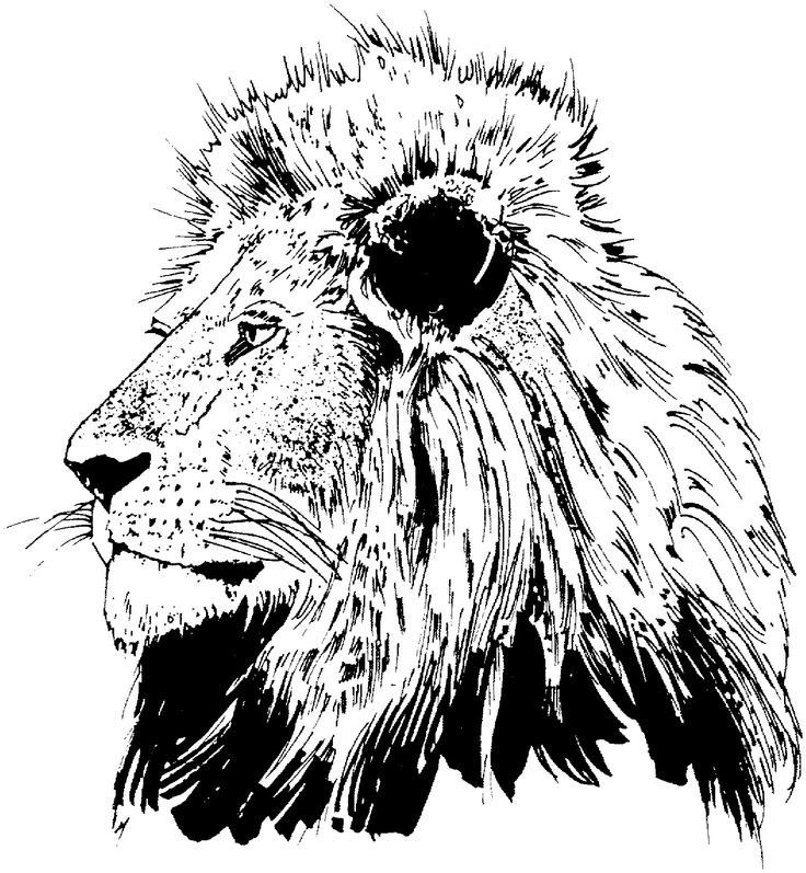 Lion Head Coloring Page at GetColorings.com | Free printable colorings ...