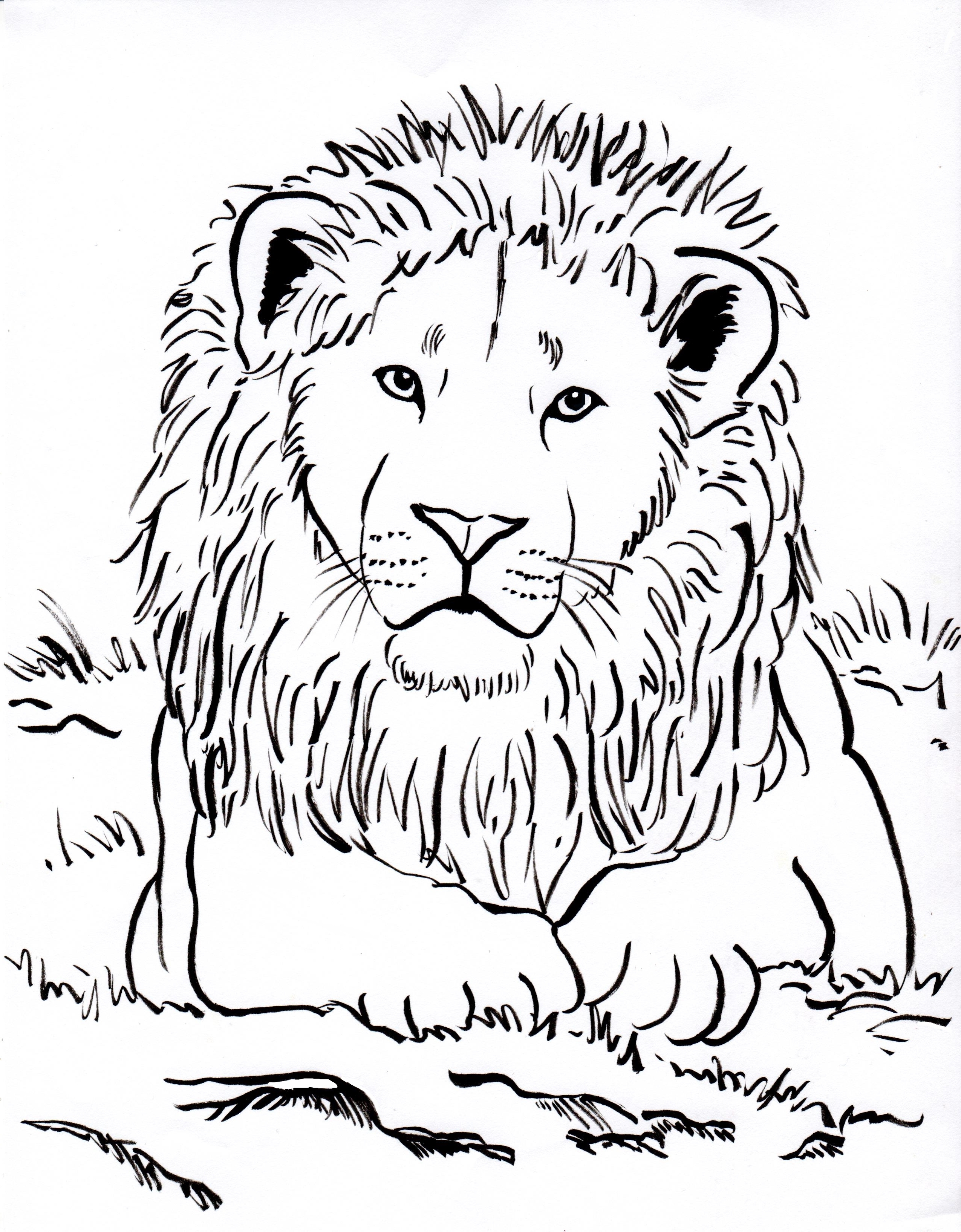 Lion Head Coloring Page at Free printable colorings