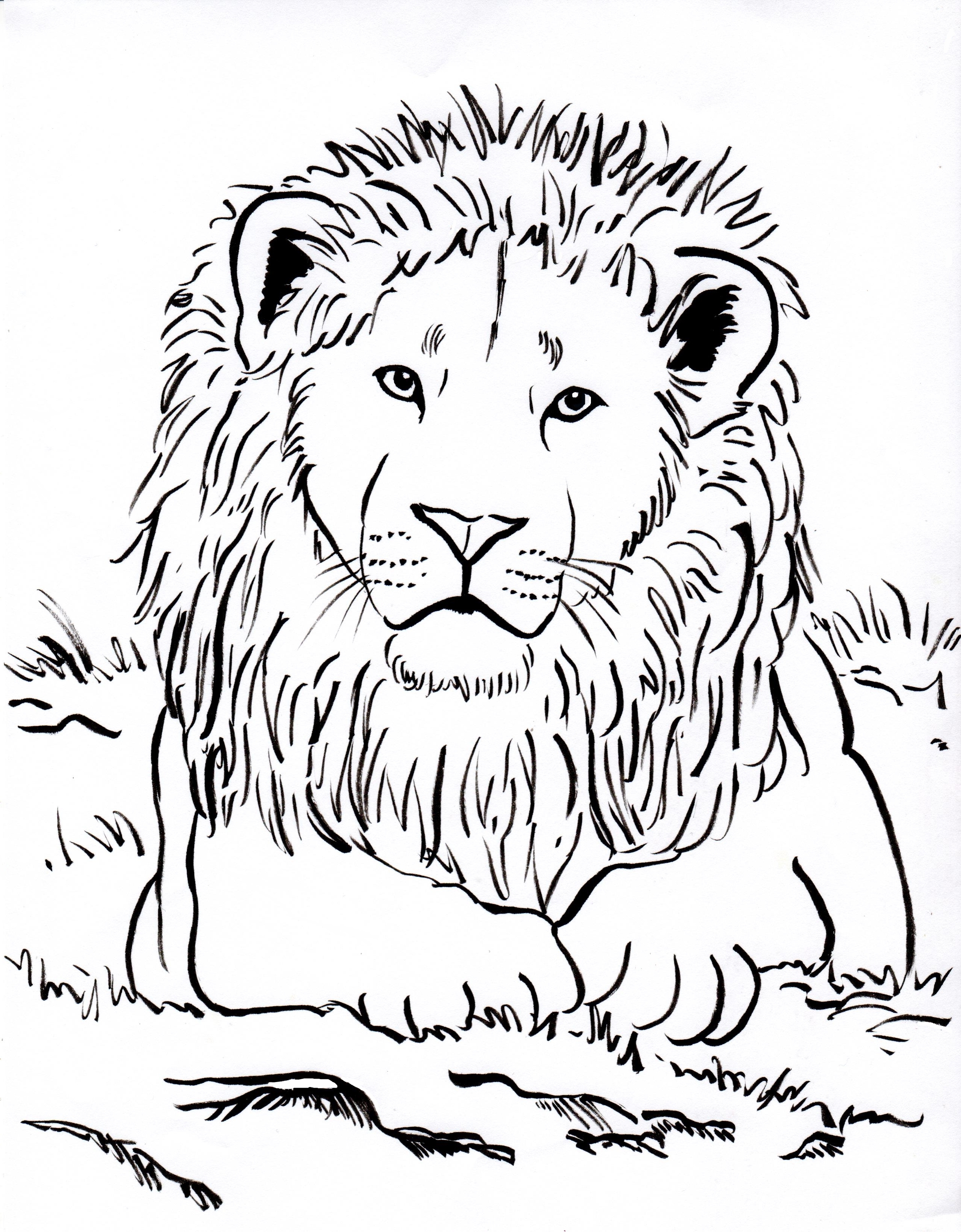 Printable Lion Coloring Pages