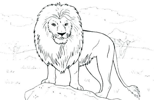 Lioness Coloring Pages at GetColorings.com | Free printable colorings