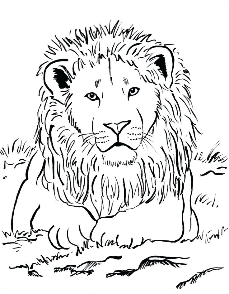 Lions Football Coloring Pages At Getcolorings.com | Free Printable