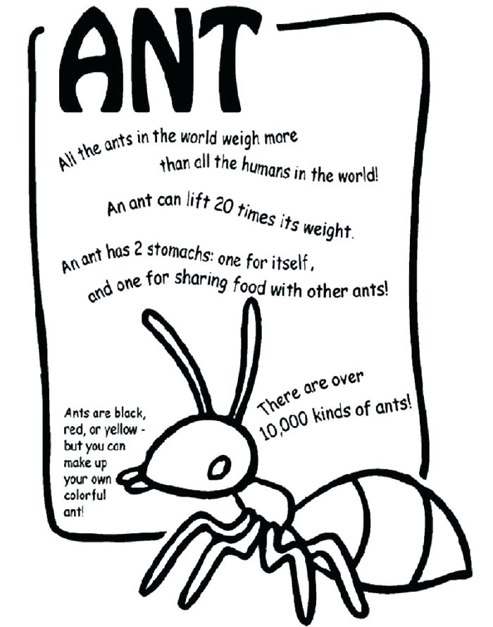 Ants On A Log Page Coloring Pages