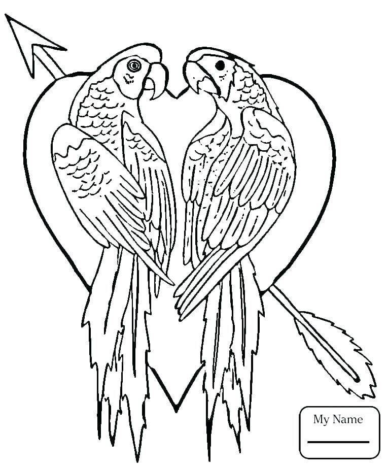 Love Bird Coloring Pages at GetColorings.com | Free printable colorings