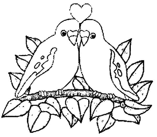 Love Bird Coloring Pages at GetColorings.com | Free printable colorings