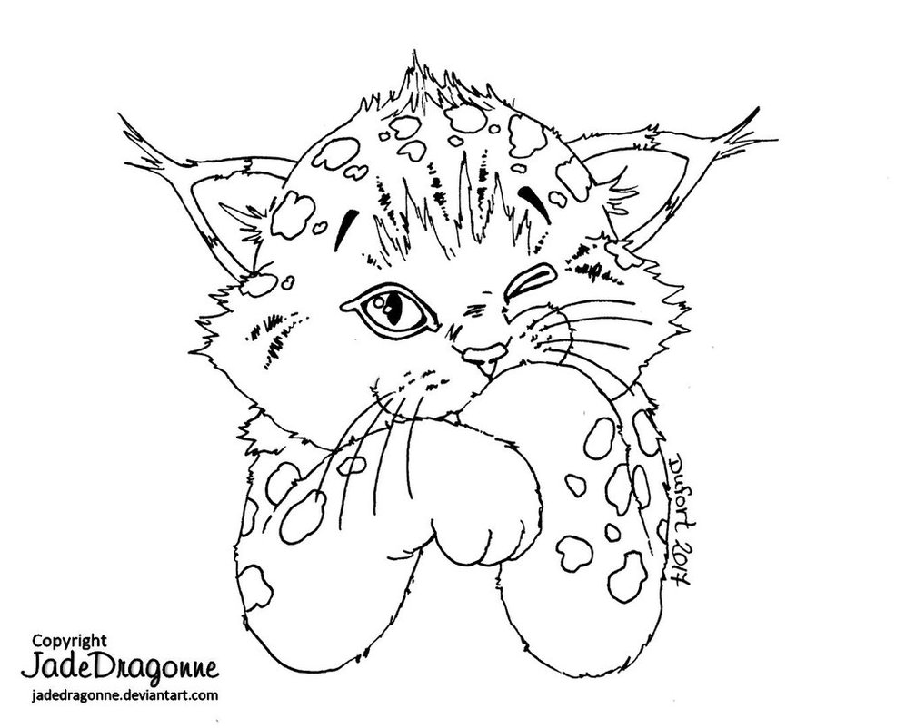 Lynx Coloring Page at GetColorings.com | Free printable colorings pages