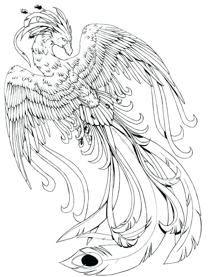 Magical Creatures Coloring Pages At GetColorings Free Printable 