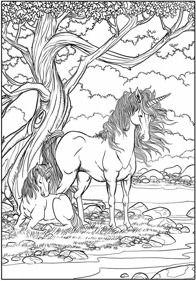 650x931 Unicorns Coloring Page Mythical Creatures Fantasy Animals