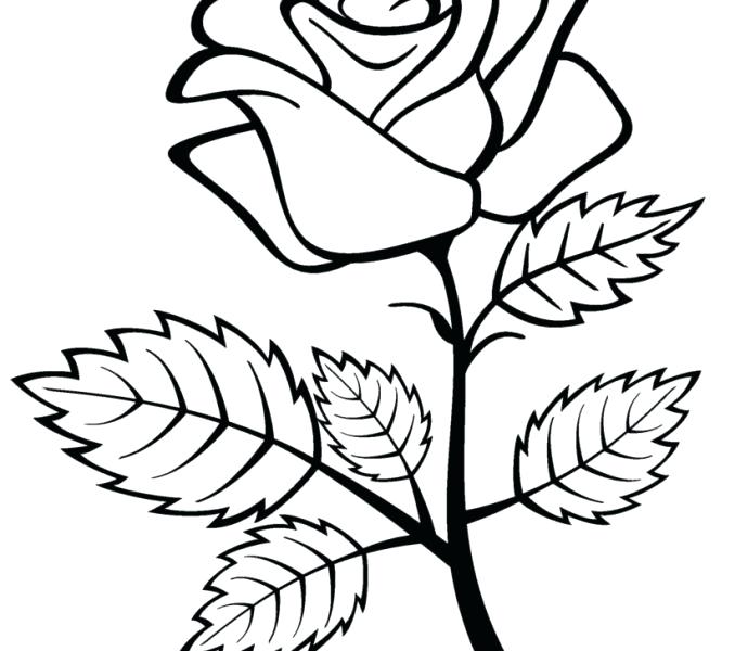 Magnolia Flower Coloring Page at GetColorings.com | Free printable