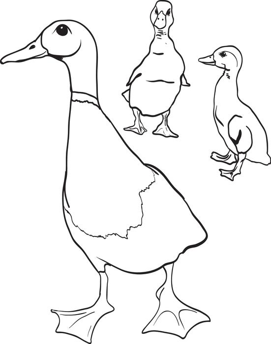 make-way-for-ducklings-coloring-page-at-getcolorings-free