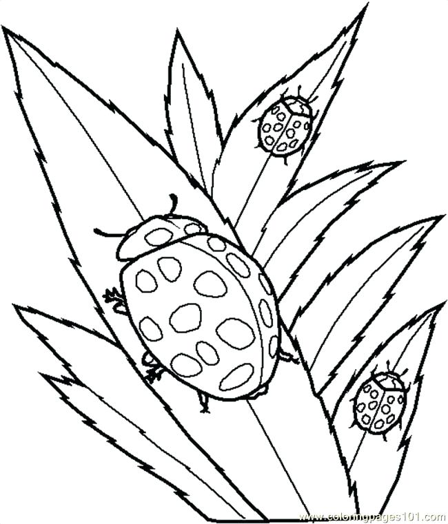 Make Your Own Coloring Pages From Photos Free At Getcolorings